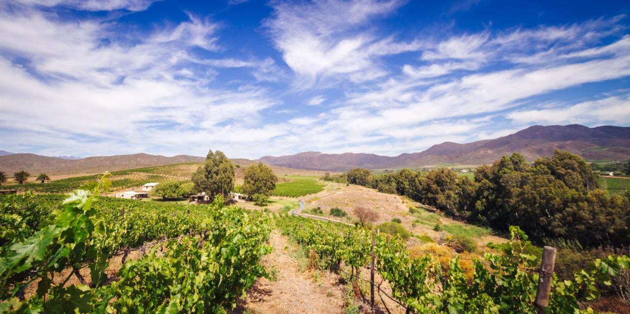 Arendsig Wine Estate & Cottages Bonnievale Exterior photo