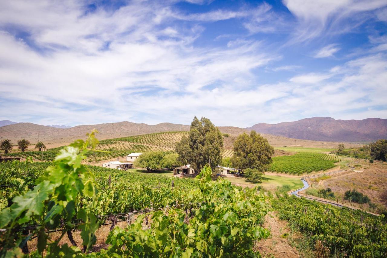 Arendsig Wine Estate & Cottages Bonnievale Exterior photo