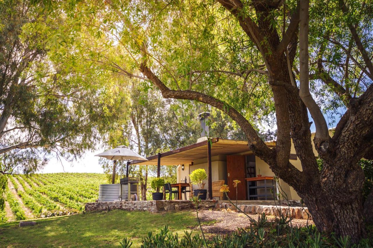 Arendsig Wine Estate & Cottages Bonnievale Exterior photo
